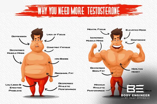 Why You Need More Testosterone